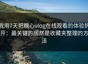 我用7天把糖心vlog在线观看的体验拆开：最关键的居然是收藏夹整理的方法