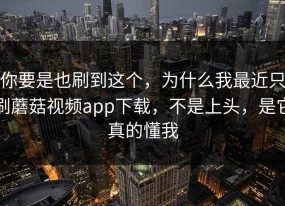 你要是也刷到这个，为什么我最近只刷蘑菇视频app下载，不是上头，是它真的懂我