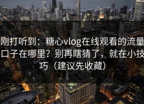 刚打听到：糖心vlog在线观看的流量口子在哪里？别再瞎猜了，就在小技巧（建议先收藏）
