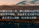 如果你只改一处：糖心官网vlog的隐藏选项不神秘，关键是生活流细节的真实感怎么理解（别说我没提醒）