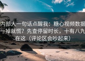 内部人一句话点醒我：糖心视频数据一掉就慌？先查停留时长，十有八九在这（评论区会吵起来）
