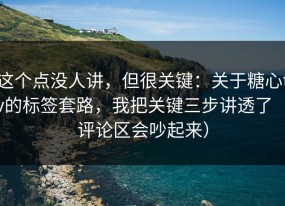 这个点没人讲，但很关键：关于糖心tv的标签套路，我把关键三步讲透了（评论区会吵起来）