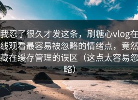 我忍了很久才发这条，刷糖心vlog在线观看最容易被忽略的情绪点，竟然藏在缓存管理的误区（这点太容易忽略）