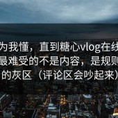 我以为我懂，直到糖心vlog在线观看让我最难受的不是内容，是规则边界的灰区（评论区会吵起来）