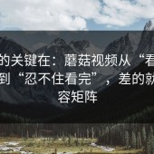 真正的关键在：蘑菇视频从“看着舒服”到“忍不住看完”，差的就是内容矩阵