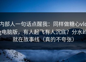 内部人一句话点醒我：同样做糖心vlog电脑版，有人起飞有人沉底？分水岭就在故事线（真的不夸张）