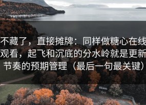 不藏了，直接摊牌：同样做糖心在线观看，起飞和沉底的分水岭就是更新节奏的预期管理（最后一句最关键）