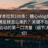 我把样本拉到100条：糖心vlog在线教学口碑反转怎么来的？关键不在反转，在冷启动的第一口流量（细节决定一切）