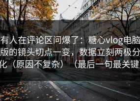有人在评论区问爆了：糖心vlog电脑版的镜头切点一变，数据立刻两极分化（原因不复杂）（最后一句最关键）