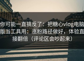 你可能一直搞反了：把糖心vlog电脑版当工具用：涨粉路径做好，体验直接翻倍（评论区会吵起来）