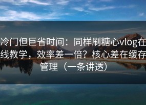 冷门但巨省时间：同样刷糖心vlog在线教学，效率差一倍？核心差在缓存管理（一条讲透）