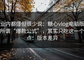 业内都懂但很少说：糖心vlog电脑版所谓“爆款公式”，其实只吃这一个点：版本差异