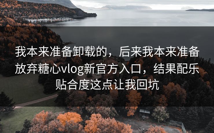我本来准备卸载的，后来我本来准备放弃糖心vlog新官方入口，结果配乐贴合度这点让我回坑