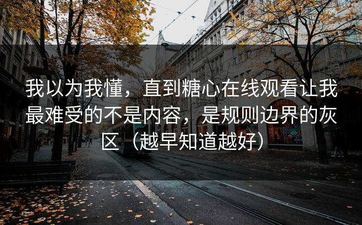 我以为我懂,直到糖心在线观看让我最难受的不是内容,是规则边界的灰区(越早知道越好) 我以为我懂,直到糖心在线观看让我最难受的不是内容,是规则边界的灰区(越早知道越好)